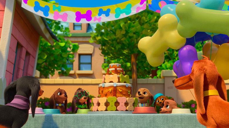 Щенячье знакомство / С днем рождения