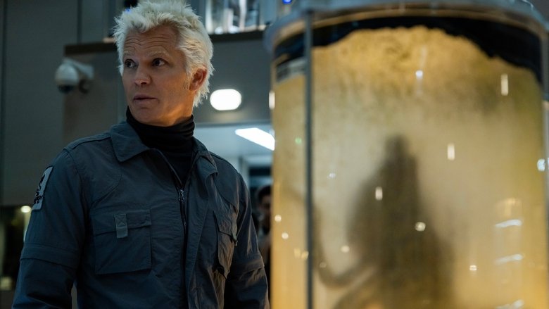 Метаморфоз