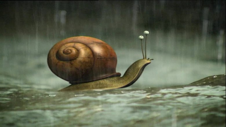 Дожди и ливни