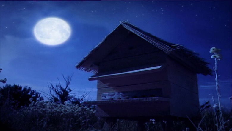 Бессонная ночь