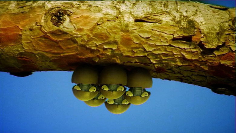 Цикада из Бразилии