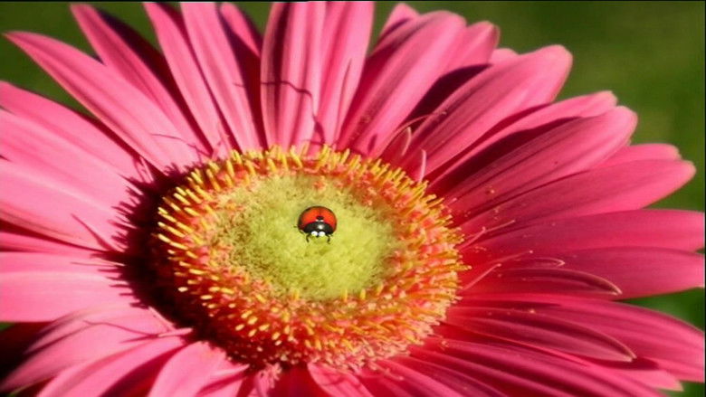 Слишком шустрый