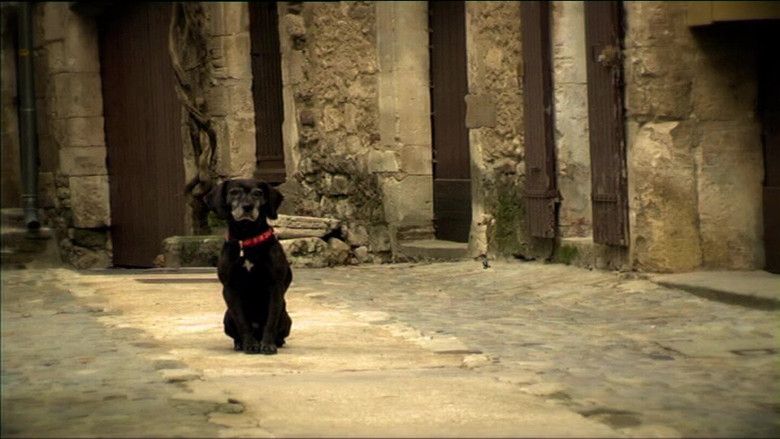 Бездомная муха