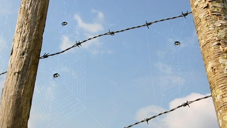 Только бы один!