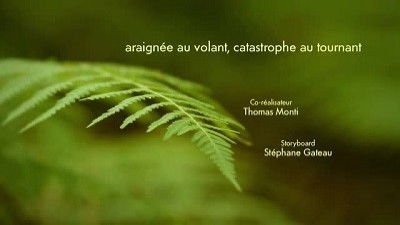 Паучок-водитель