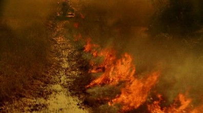 Медленный огонь