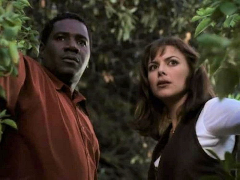 Отклеившийся человек