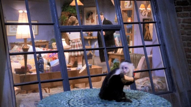 Эпизод, где обезьяна сбегает