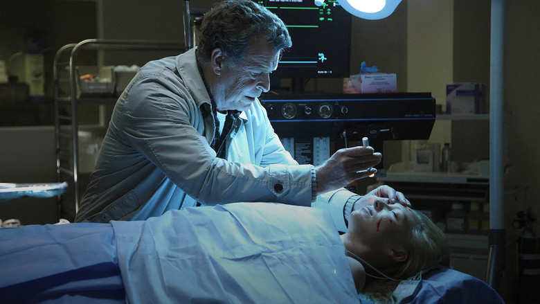 Новый день в старом городе