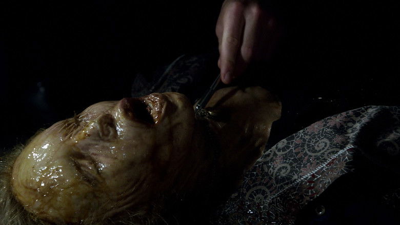 Всё на своих местах