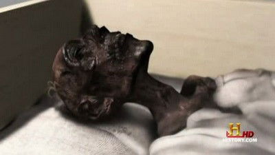 Тела, которые мы оставили