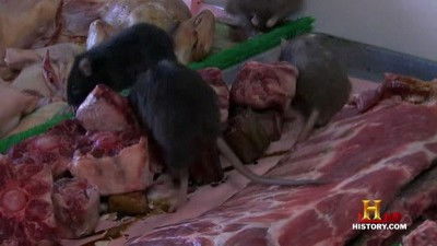 Последняя трапеза