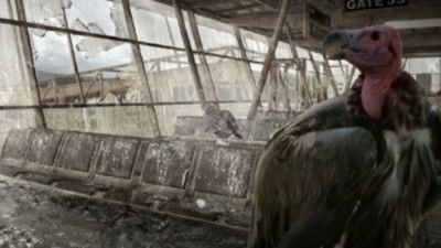 Небо придёт