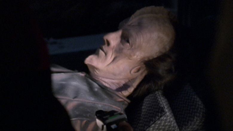 Зубы дракона