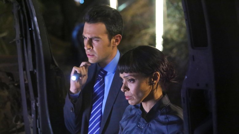 Верность во лжи