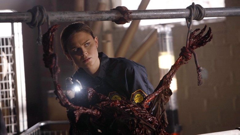 Два тела в лаборатории