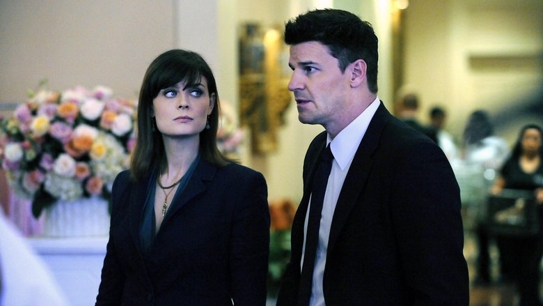 Бикини в супе