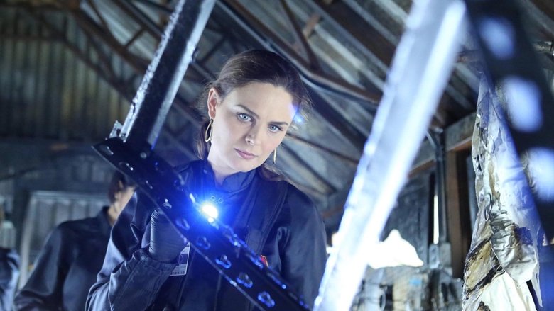 Размышления в темноте