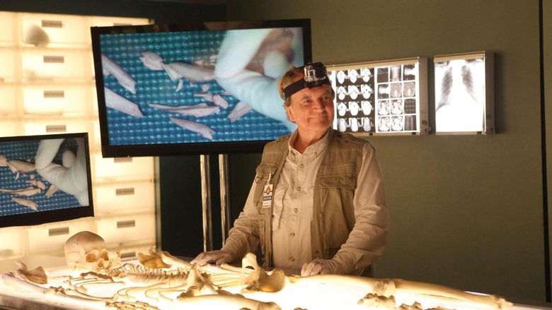 Кровь из камня