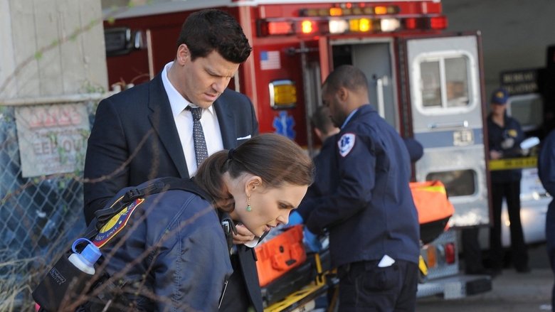 Кроме шуток