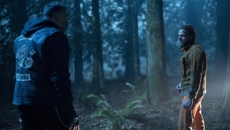 Мама-медведица