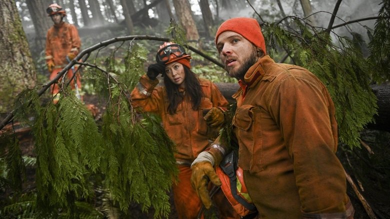 Ложные обещания