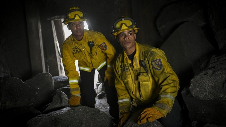 Линия жизни