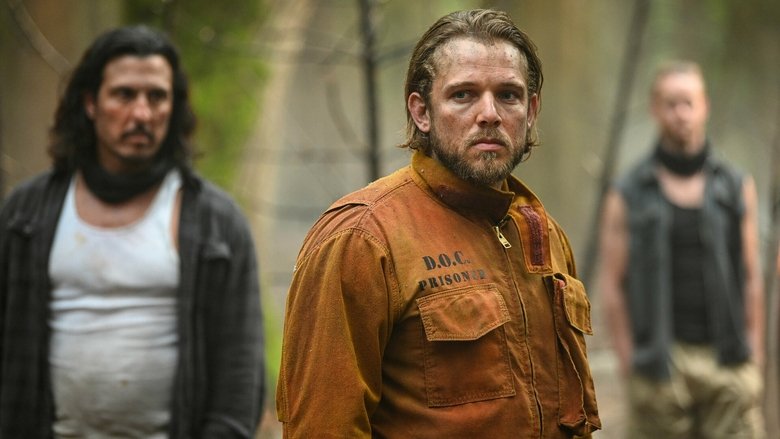 Нет дыма без…