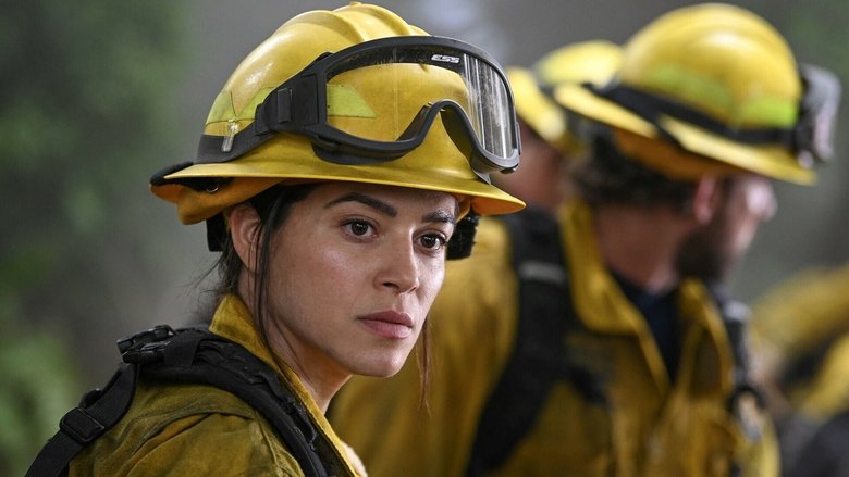 Не без моих птиц