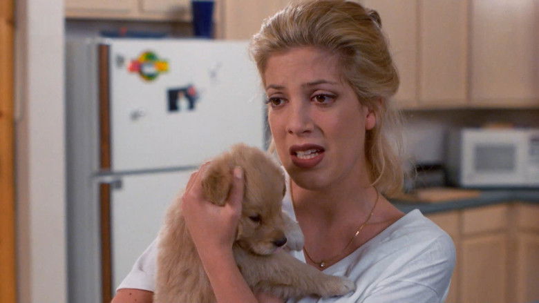 Манжеты и Звенья