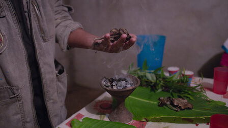 Глава 2. Псилоцибин