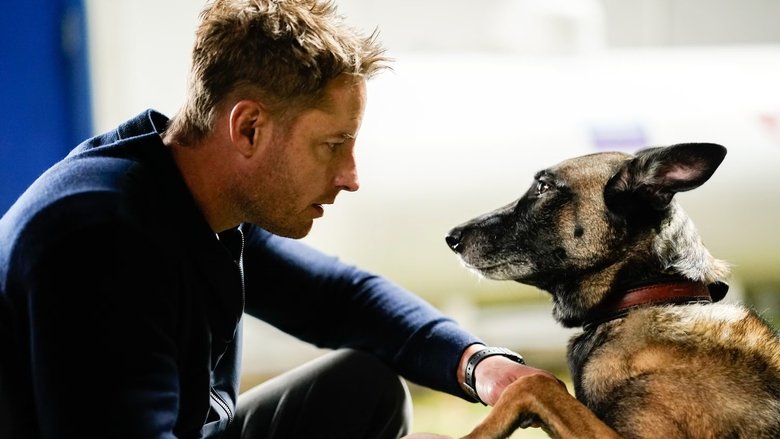 Лучший друг человека