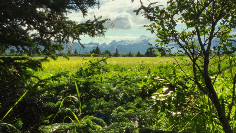 Смена времён года