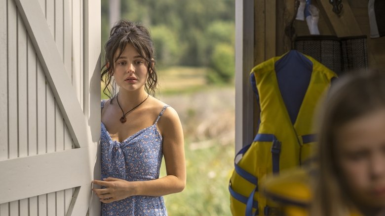 Мои друзья лежат на солнце