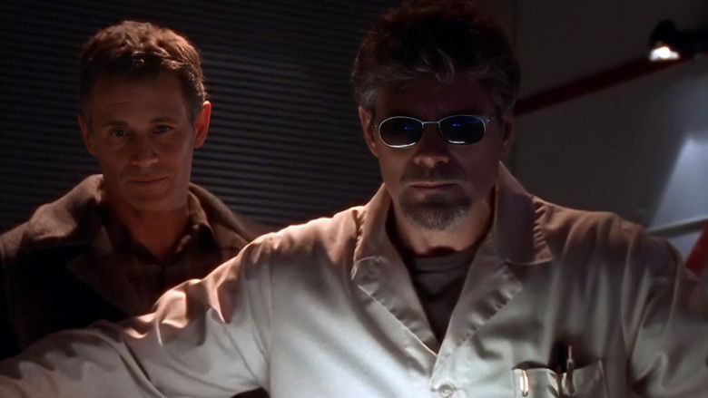 Новый договор аренды