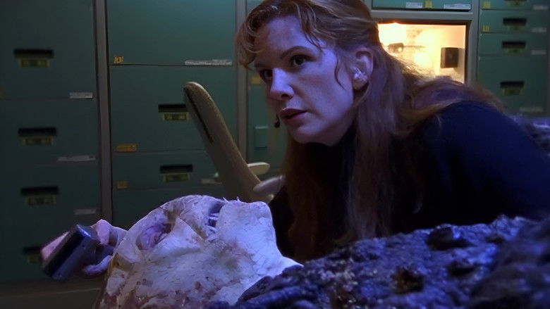 Теория относительности