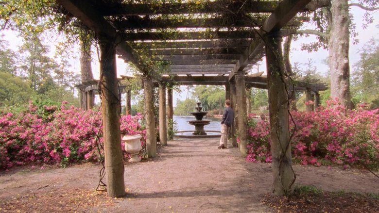 Джоуи Поттер и спасение Кейпсайда