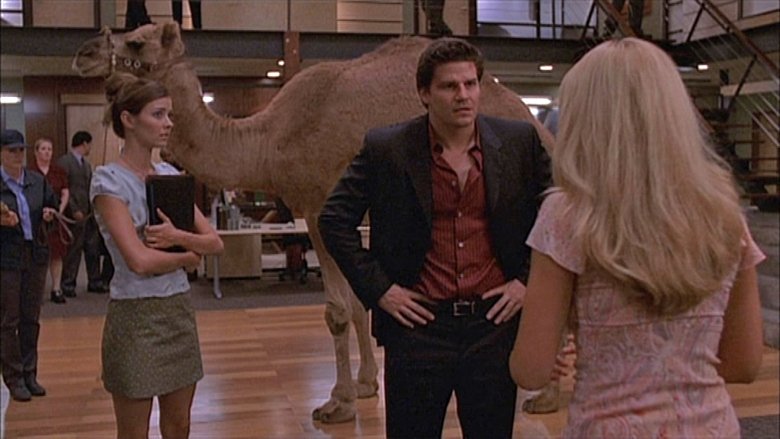 Путь гармонии