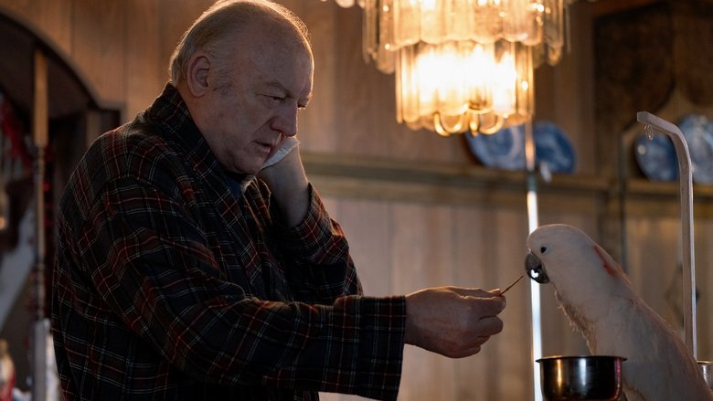 Куда вы идете?