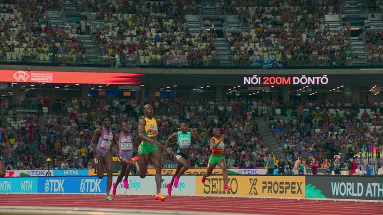 ДВОЙСТВЕННОСТЬ