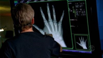 Винные пары и тараканы