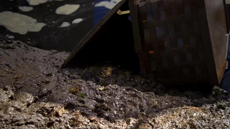 Девушка в озере