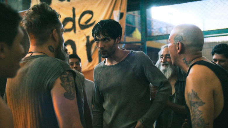 Более гуманные условия