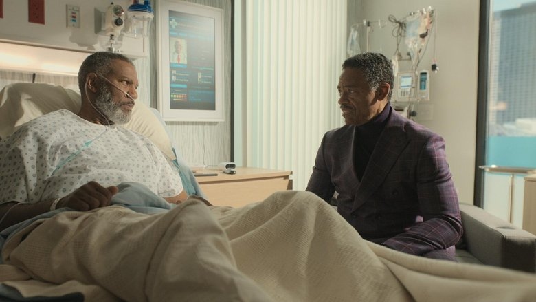 Вспышка красоты