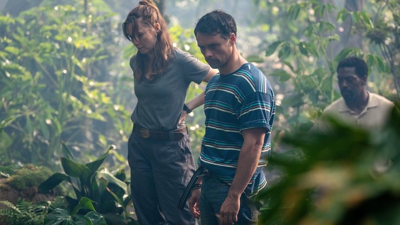 Чёрные ангелы