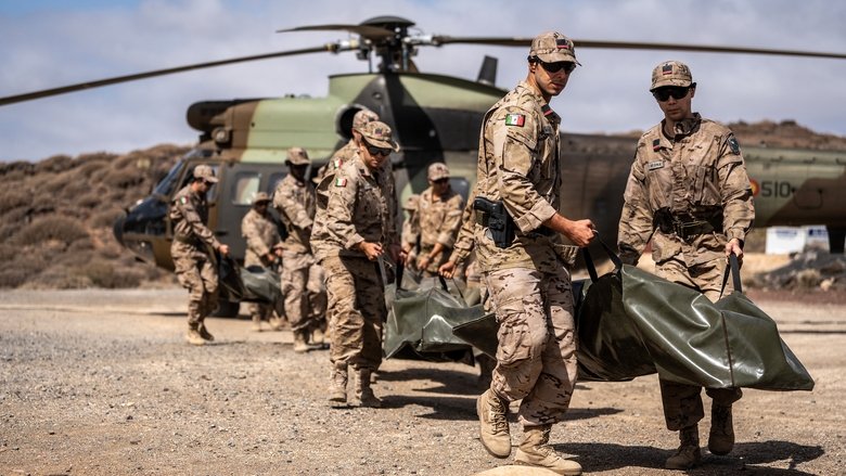 Мешки для трупов