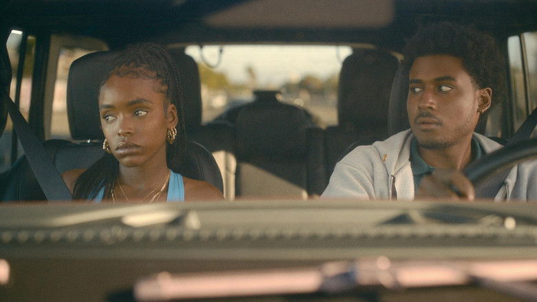 Медовый месяц