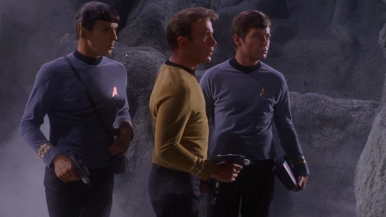 Кошачья лапа