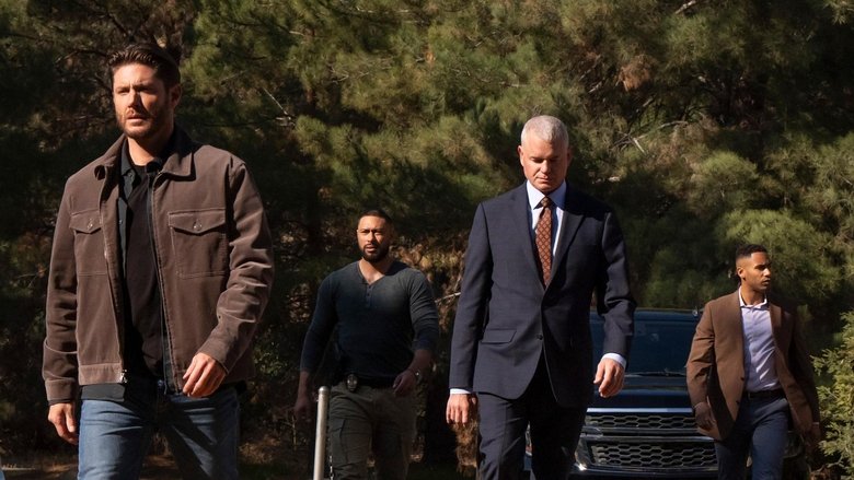 Щитовая куча