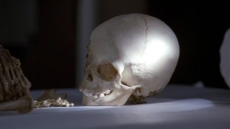 Где и почему